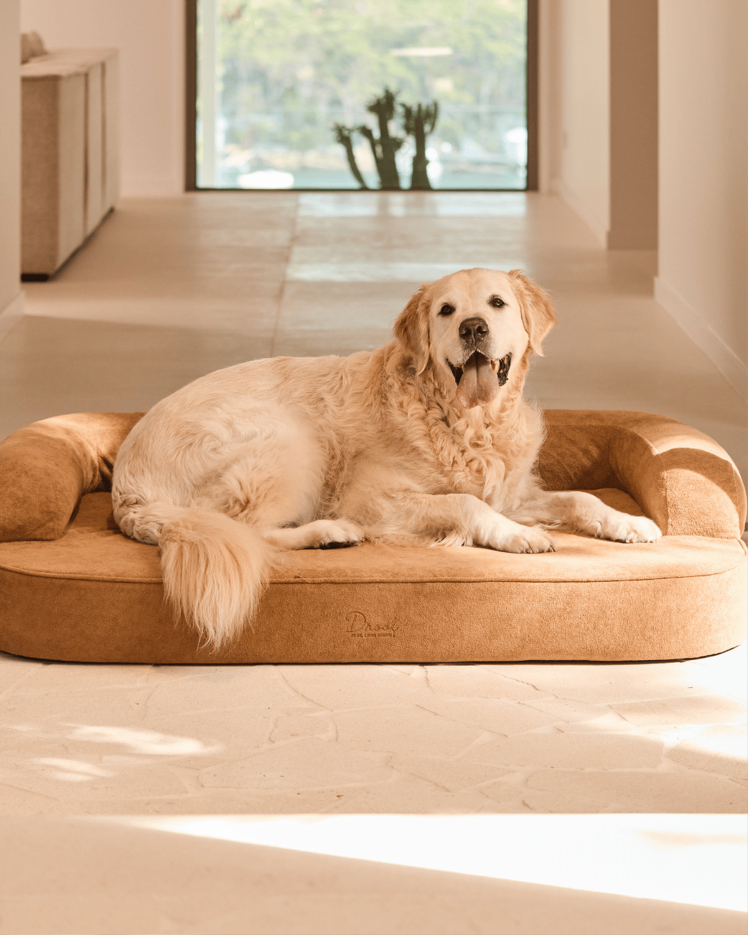 SpineAlign™ Dream Bed