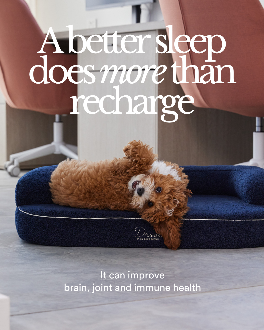 SpineAlign™ Dream Bed – Drool by Dr. Chris Brown
