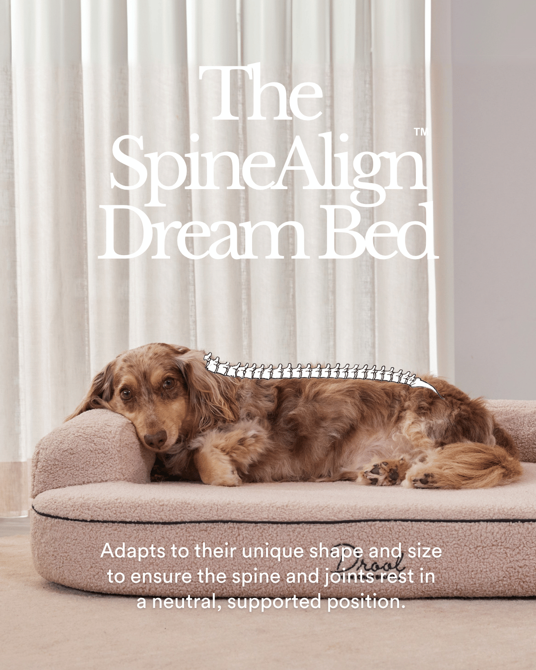 SpineAlign™ Dream Bed – Drool by Dr. Chris Brown