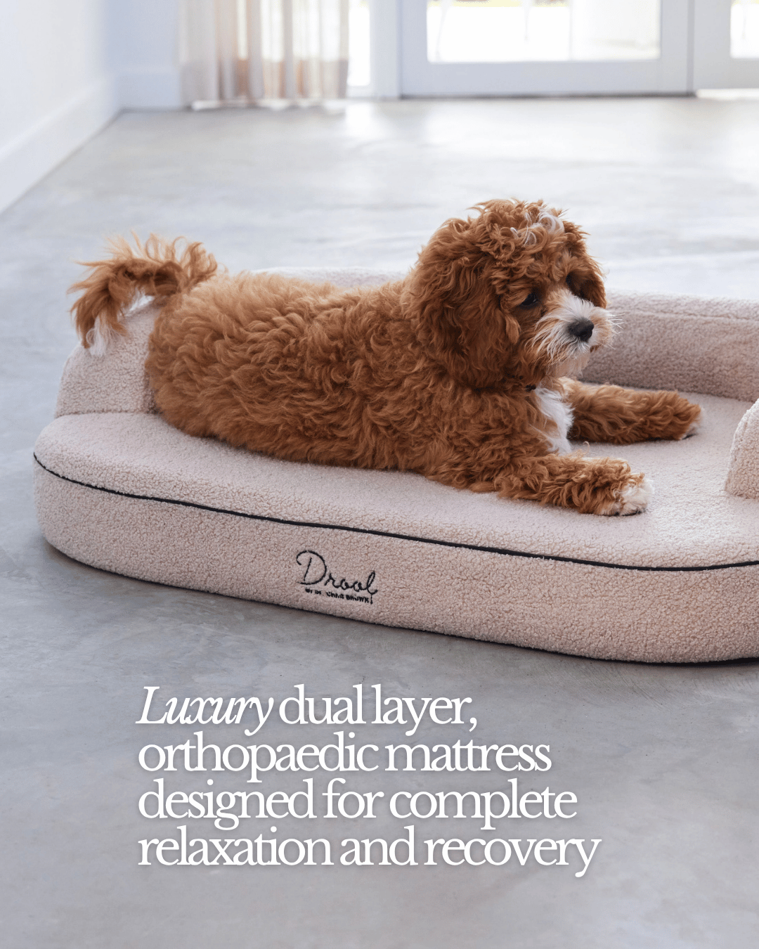 SpineAlign™ Dream Bed – Drool by Dr. Chris Brown
