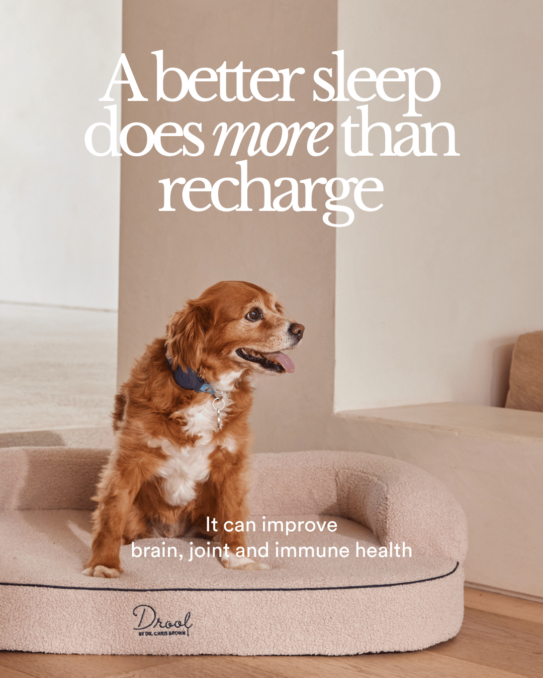 ［直接お取引］ダブルベッド NATURAL SLEEP LABO SpineAlign™ Dream Bed – Drool by Dr. Chris Brown