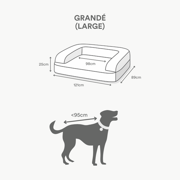 Size guide for Grandé