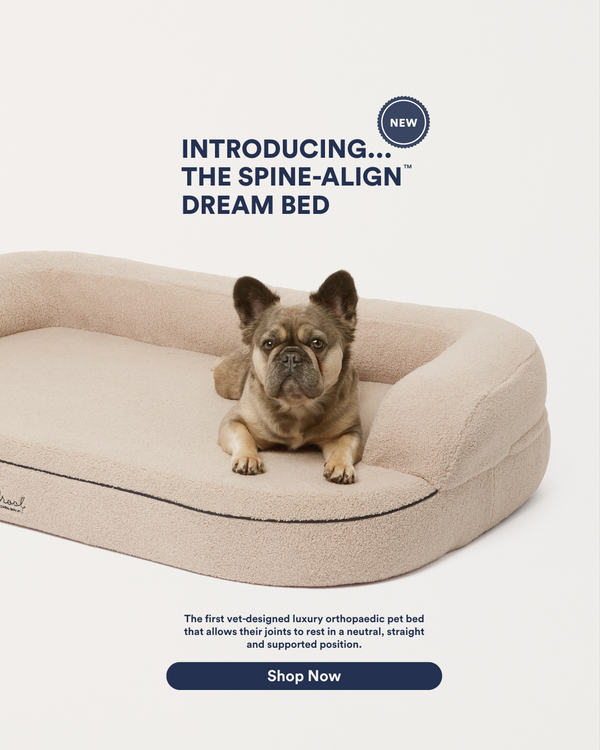 Pet Bed Product Card (1)