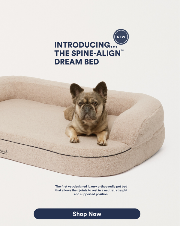 Pet Bed Product Card (1)