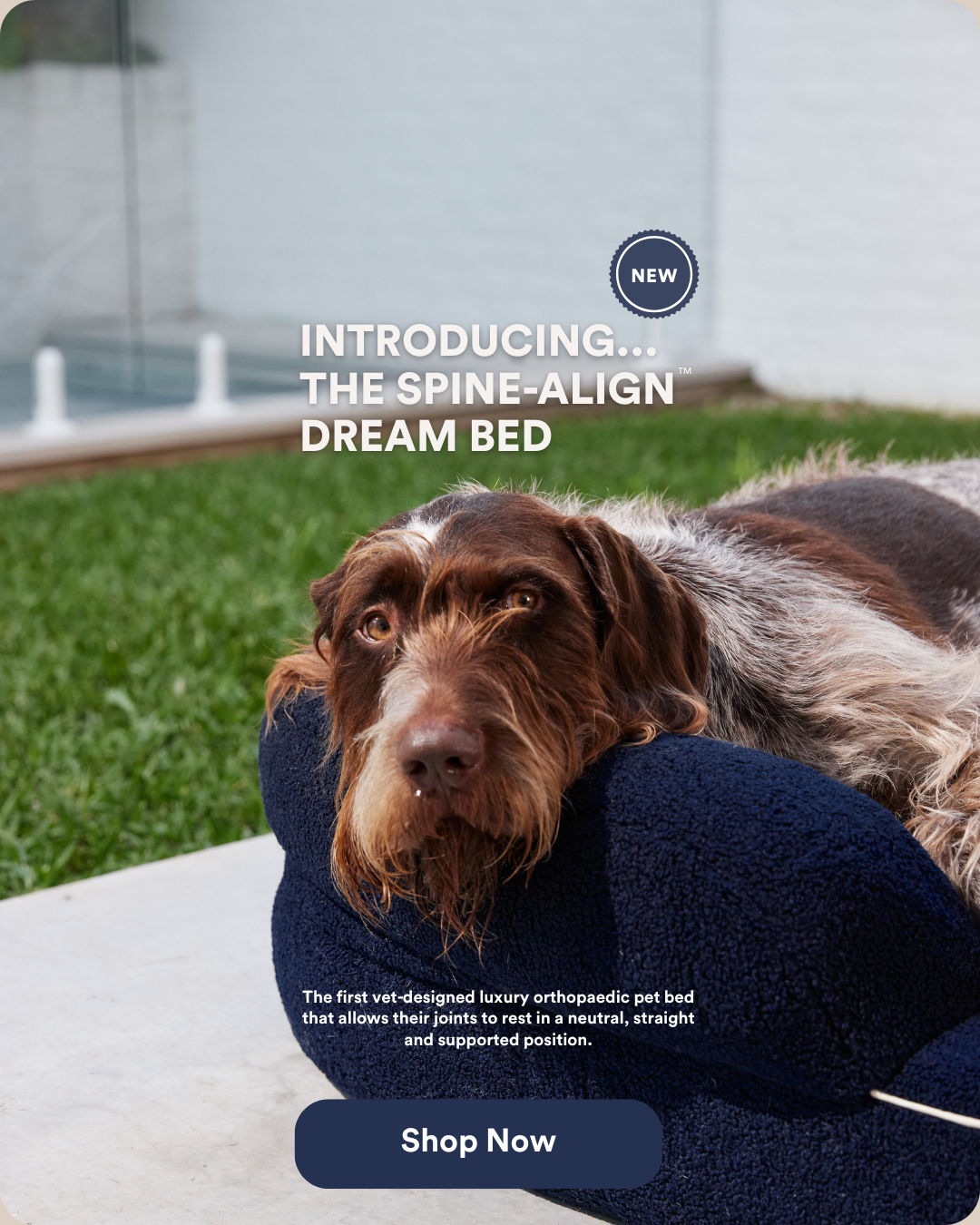 Pet Bed Product Card (3)