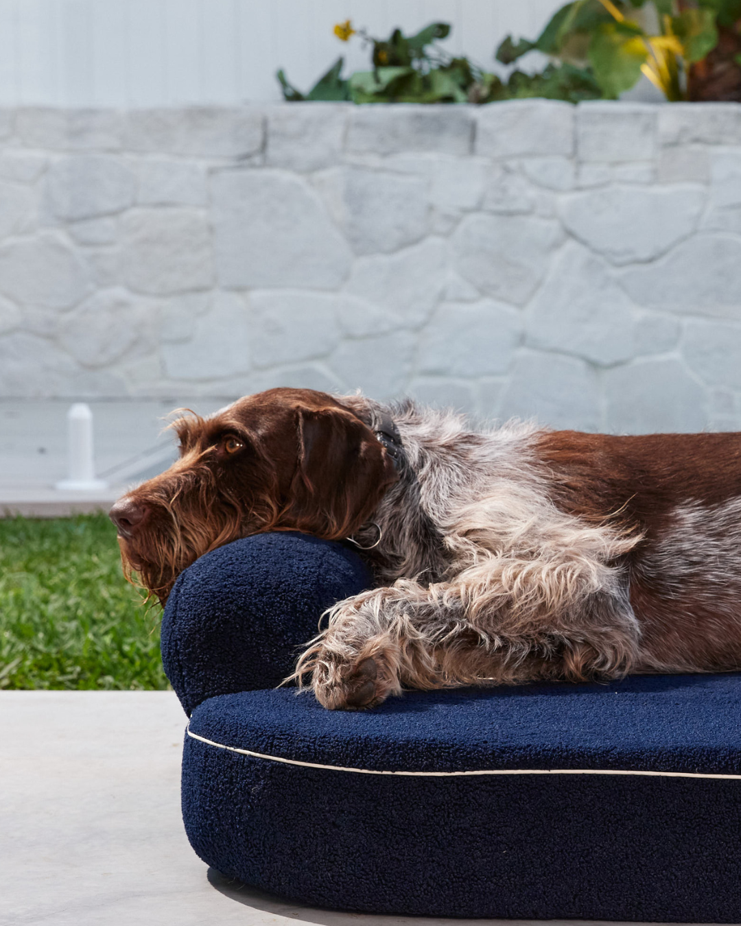 The SpineAlign™ Dream Bed - Grandé (Navy)