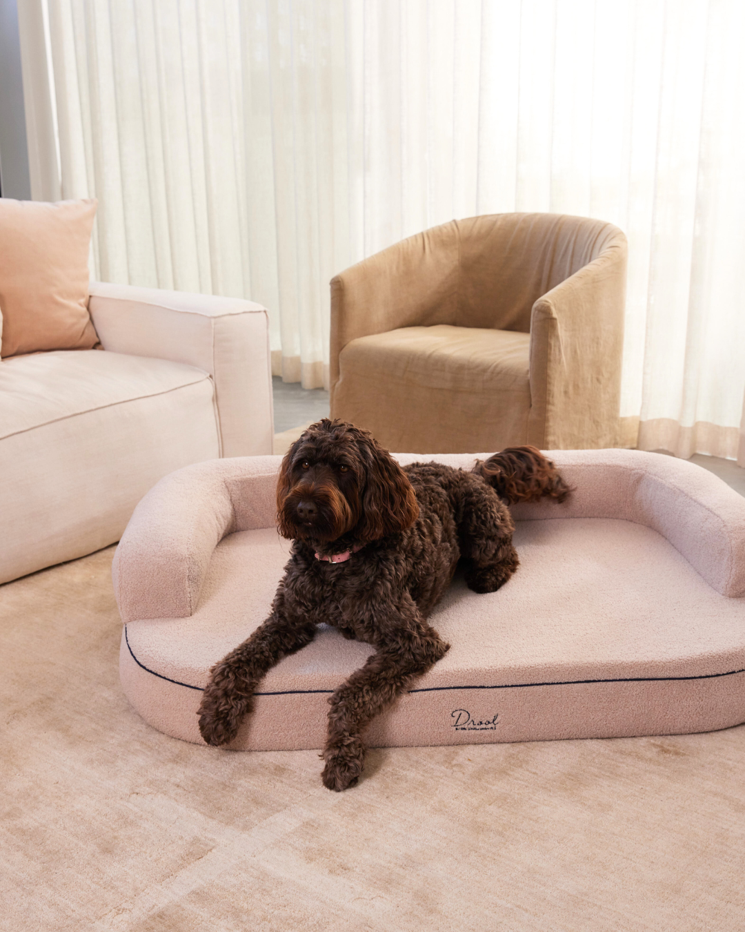 The SpineAlign™ Dream Bed - Grandé (Oat)