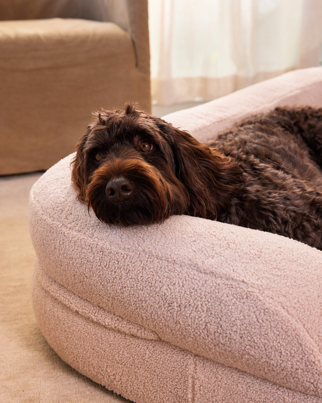 The SpineAlign™ Dream Bed - Grandé (Oat)