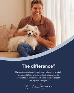 Teeth + Breath Dental Treat Balls