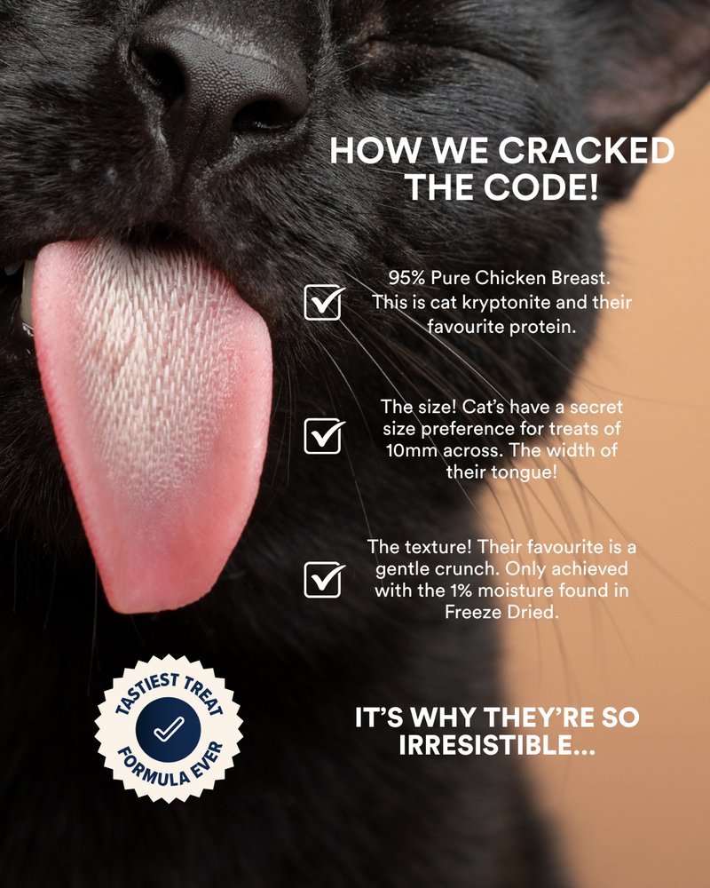 Teeth + Breath Freeze Dried Cat Treats