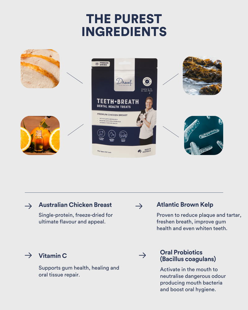 Teeth + Breath Freeze Dried Cat Treats