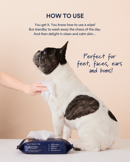 The Gentle Wipes