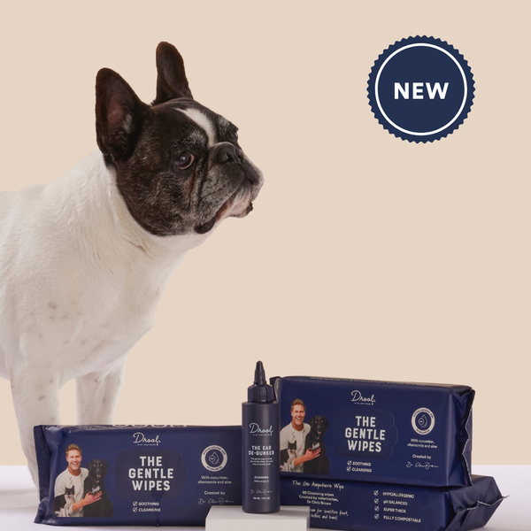 The Ultimate Ears Pack – Drool by Chris Brown - Main Image