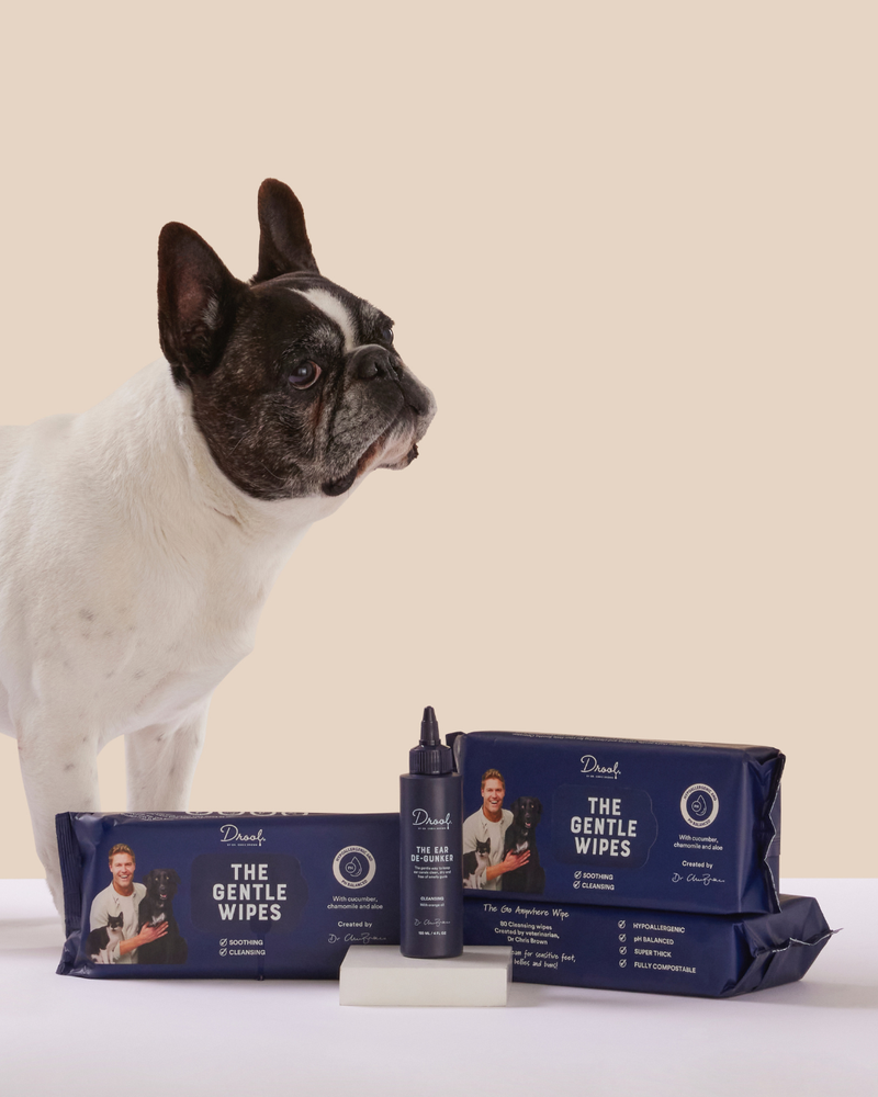The Ultimate Ears Pack – Drool by Dr. Chris Brown