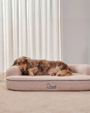 SpineAlign™ Dream Bed
