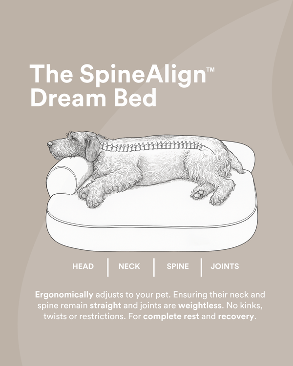 The Bed + Spare Cover Bundle. Size - Grandé