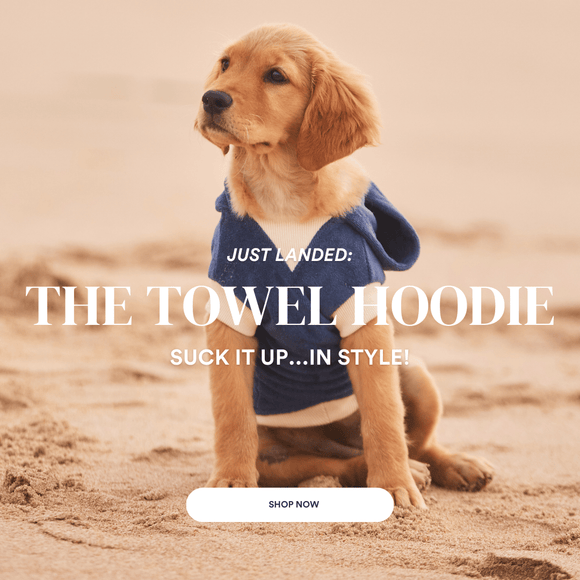 Just Landed! The Towel Hoodie