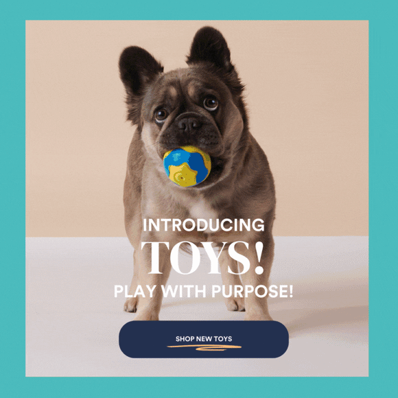 Introducing toys! Play with purpose.