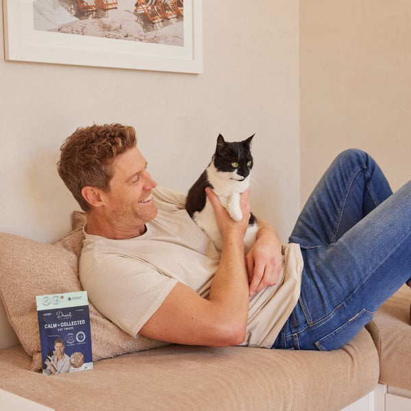 Cat Treats Feeding Guide