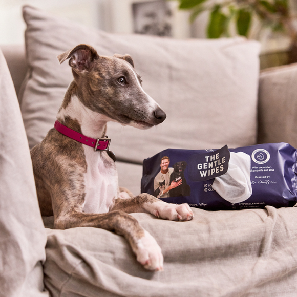 Just landed! Introducing The Gentle Wipes