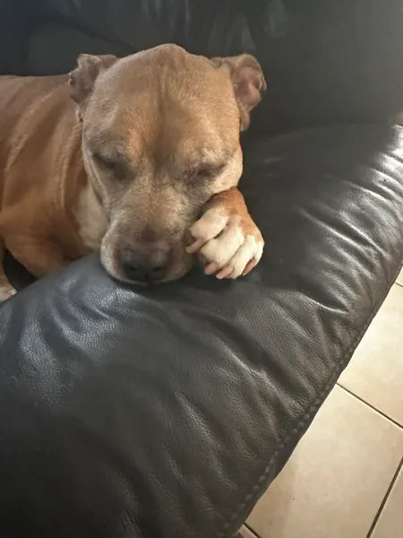 Nothing I wouldn't do for my best friend