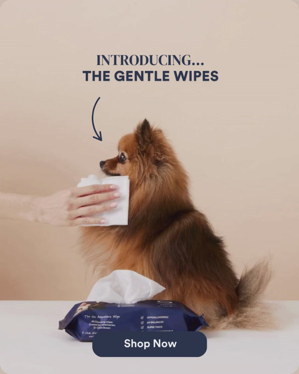 PRODUCT CARD: The Gentle Wipes