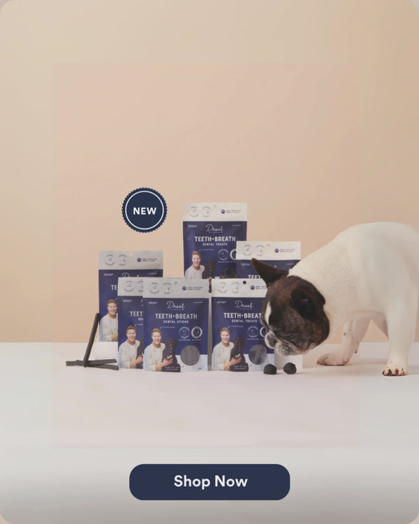PRODUCT CARD: The Doggy Dental Pack