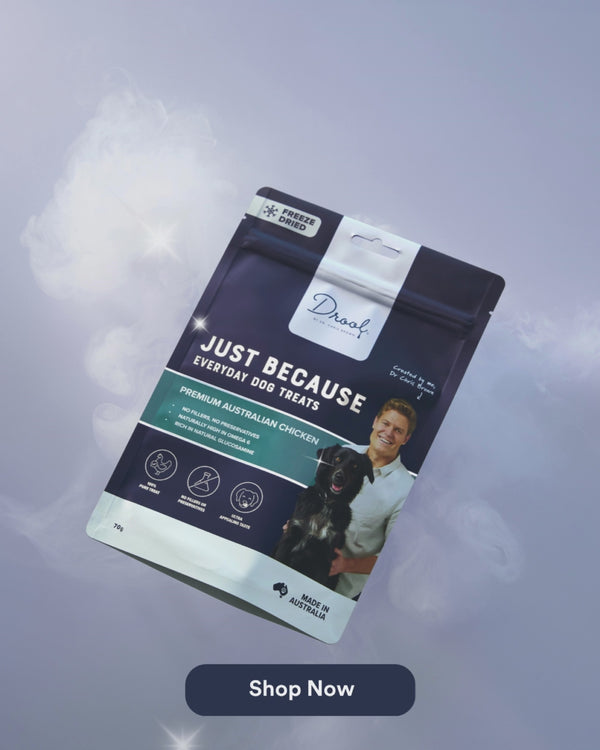 PRODUCT CARD: Just Because Freeze Dried 2