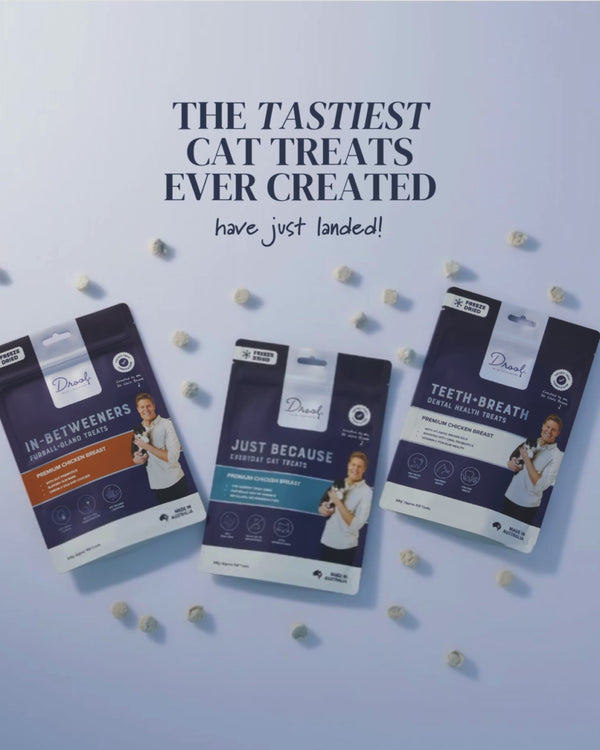 PRODUCT CARD: Cat Treats