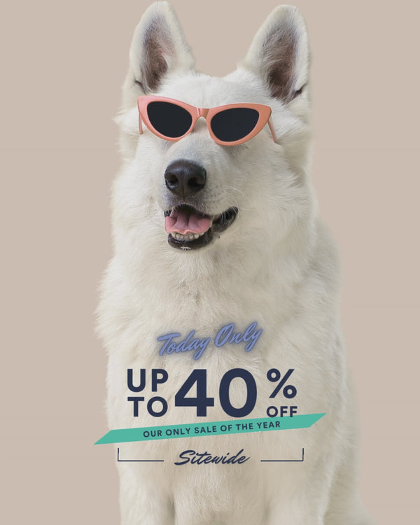 PRODUCT CARD: BFCM 4 FREE SHIPPING