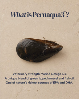 Omega Pro Drops