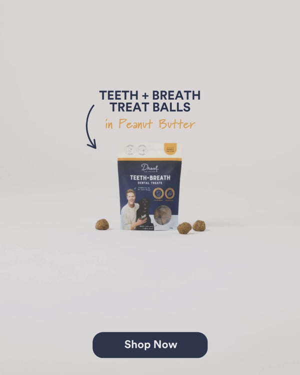 PNB T+B Product Card