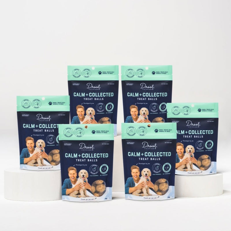 Drool by Dr. Chris Brown Calm + Collected Pack