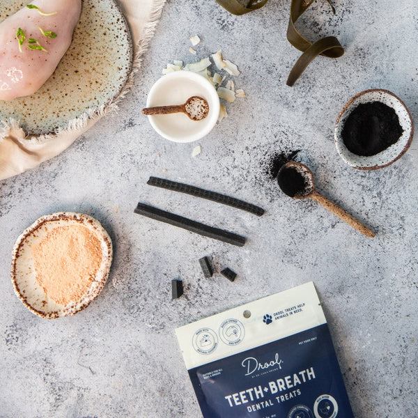 Dental health – Drool by Dr. Chris Brown